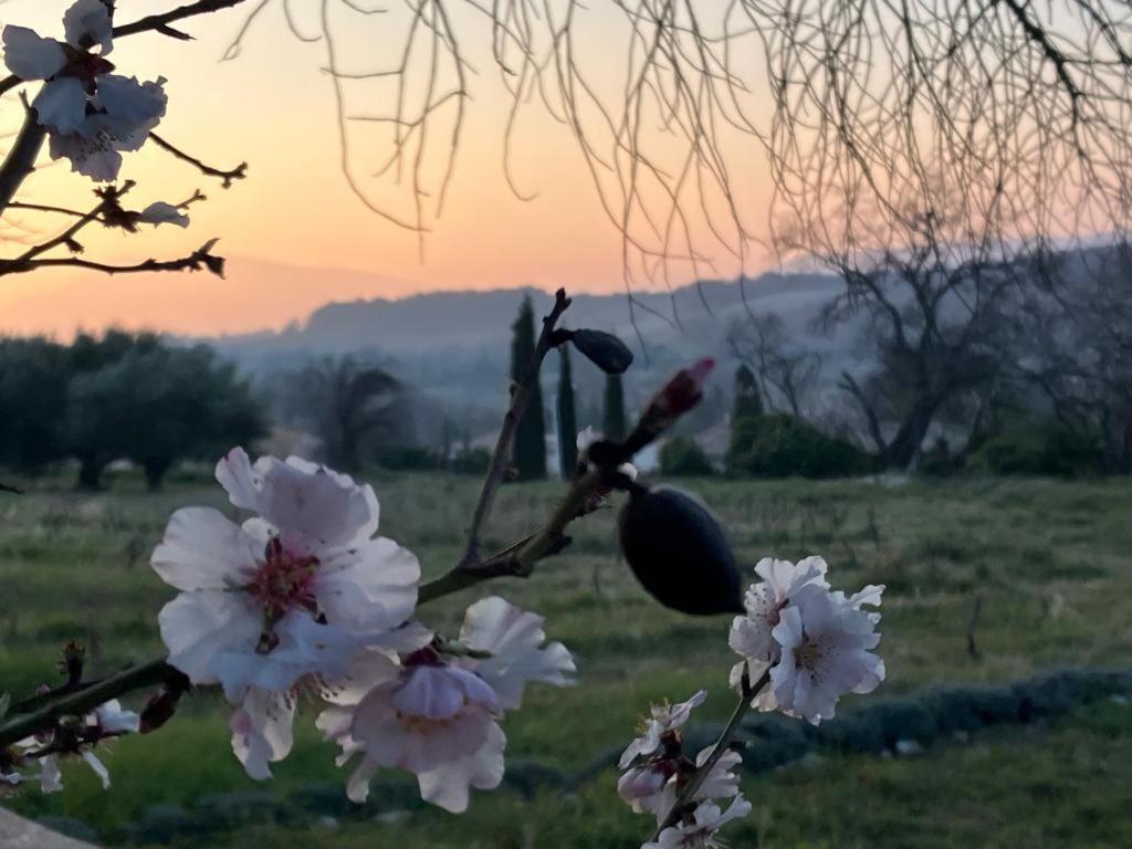 Bed and Breakfast Gite Belle Vue Visan Exterior foto